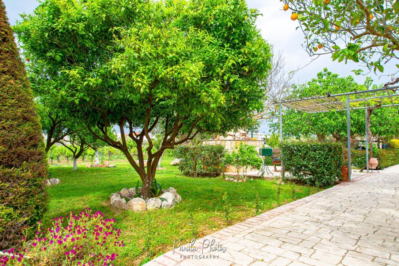 Zante Apts Laganas Exterior foto